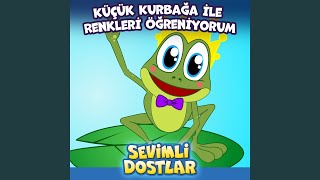 Küçük Kurbağa ile Renkleri Öğreniyorum [upl. by Richie]