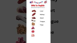 Offal Vocabulary in English  Organ Meats Explained learnenglish englishvocabulary english [upl. by Eirrehc930]