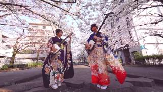 Shamisen Under The Cherry Blossoms 2017  KiampKi 輝amp輝 津軽三味線 [upl. by Odrarej293]