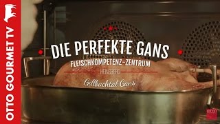 Gänsebraten perfekt zubereiten [upl. by Nered101]