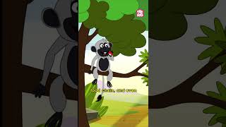 Importance of Trees  Facts about Trees for Kids shorts trees planttrees drbinocsshow [upl. by Trebuh]