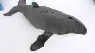 Humpback Whale Soft Toy with Authentic Sound [upl. by Calley]