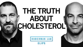 The Truth About Dietary Cholesterol  Dr Peter Attia amp Dr Andrew Huberman [upl. by Elinad477]