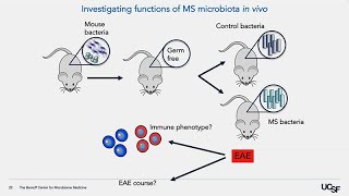 The GutBrain Axis  Gut Microbiome Influences on Neurological Disease [upl. by Jacobina]