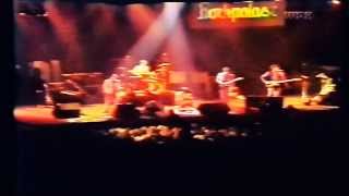 The Undertones  Live at Rockpalast 1981 [upl. by Enoek182]