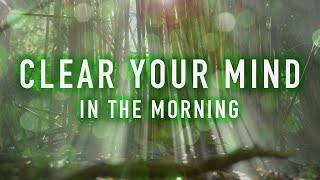 Clear Your Mind in the Morning  A Guided Mindfulness Meditation 8 minutes [upl. by Skurnik330]