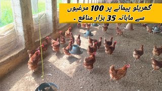 100 Lohman Brown Hens Complete Profit Report  Small Scale Hen Farming Business Idea  Layer Chicken [upl. by Hilde846]