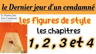 les figures de style le Dernier jour dun condamnéchapitres 123 et 4exercices avec correction [upl. by Crescin]