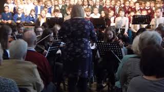 Ashby Liaison Concert 2018  Ashby Orchestra  Blue Tango [upl. by Nahsar296]