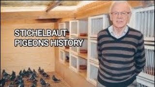 STICHELBAUT PIGEONS HISTORY [upl. by Zulema]