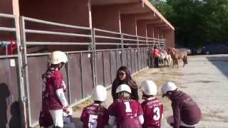 Lamotte Beuvron 2015  HorseBall Poussins 4  Les écuries du Vallon [upl. by Malley]