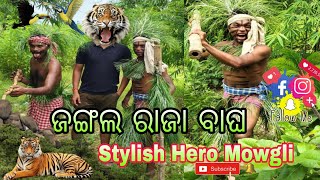 ଜଙ୍ଗଲ ହିରୋ ମୋଗଲି୍  Jangali Comedy  mowgli ki kahani  Anadivlog [upl. by Willyt]