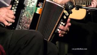 Melbourne Ceilidh Band  Irish Dance Jigs [upl. by Eessac871]