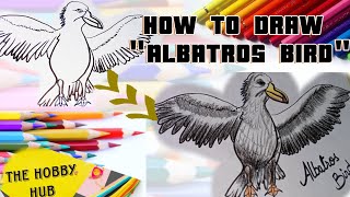 How to Draw an Albatross Bird  StepbyStep Tutorial  Bird [upl. by Daniel]