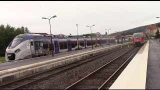 WissembourgWeiÃŸenburg im Elsass mitavec BR 643 DB  Alstom Coradia Polyvalent X 76500 SNCF [upl. by Yerag]