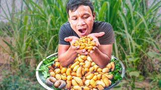 Eating Worm Alive  Catch A Lot Of Worms In Dead Coconut Tress [upl. by Neirual]