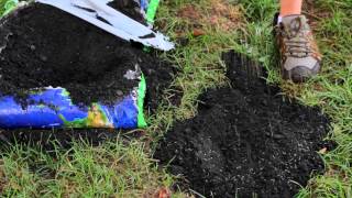 How to Repair Yard Sinkholes  Designed Landscapes [upl. by Enrev]