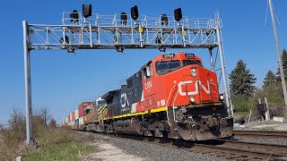 IC DASH9 LEADER CN Z148  IC 2704E at Norval  May 4 2024 [upl. by Philender]