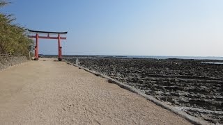 青島神社の紹介動画 Aoshima Shrine [upl. by Delores193]