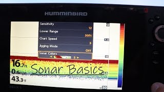 Complete Guide to Fishing Electronics How to Read Fish Finder [upl. by Dominique]