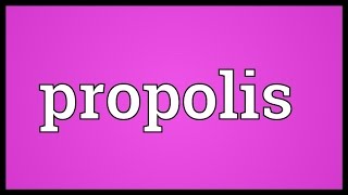 Propolis Meaning [upl. by Ellenahc952]