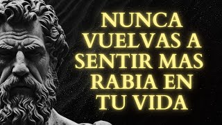 Nunca te enojarás más después de escuchar esta medicina de frases ESTOICAS sobre la ira  Estoicismo [upl. by Roath]