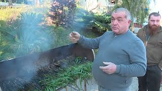 La tradition des calçots catalans à lassaut des PyrénéesOrientales grâce à une production locale [upl. by Oicram]