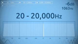 20  20000 Hz Audio Sweep  Range of Human Hearing [upl. by Einnim]