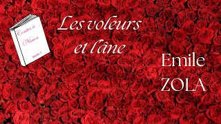 Livre audioContes à Ninon partie 7Les voleurs et lâneEmile ZOLA [upl. by Jerol]