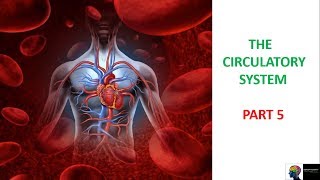 Circulatory System  ICSE Class 10th BiologyPart5 [upl. by Tezil]