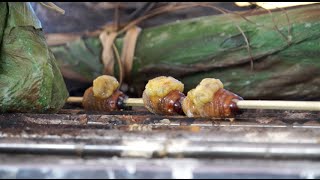 Maito de chontacuro la comida exótica de la provincia de Napo [upl. by Connett562]