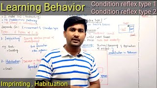 1724 Behaviour  Learning behaviour and its types  Fsc 2nd year Biology [upl. by Donovan550]