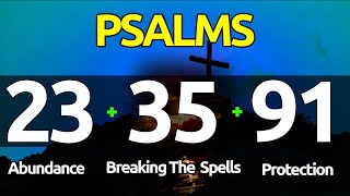 Psalms 233591 THE ESSENTIAL PSALMS FOR ABUNDANCE BREAKING SPELLS AND PROTECTION [upl. by Mandy528]