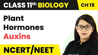 Plant Hormones Auxins  Plant Growth And Development  Class 11 Biology [upl. by Ohara]