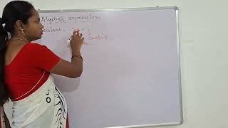 What are monomial binomial polynomials [upl. by Mauricio]