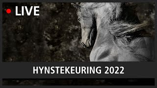 LIVE Hynstekeuring 2022 [upl. by Lenrow]