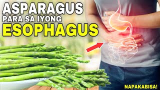 ASPARAGUS grabe pala sa ESOPHAGUS  Facts and Health Benefits of Asparagus [upl. by Hgielrebma442]