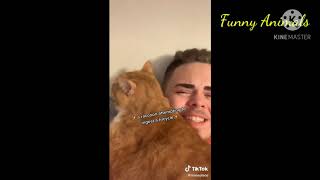 Cooter The Talking Cat  Funny Animals  Tiktok [upl. by Cathrine]