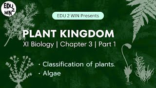 Plant kingdom  Class 11 Biology  Chapter 3 part 1 [upl. by Inalem]