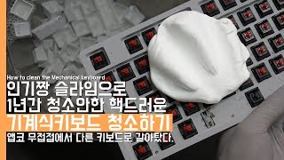 인기짱 슬라임으로 1년간 청소안한 핵드러운 기계식키보드를 청소해보았다 앱코 무접점 안녕How to clean the Mechanical Keyboard [upl. by Ardene]