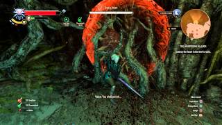 The Witcher 3  The Whispering Hillock Spirit Tree amp Endregas Combat Quen Aard Gameplay Sequence [upl. by Olonam]