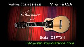 Charangos FT Fernando Torrico [upl. by Novikoff602]