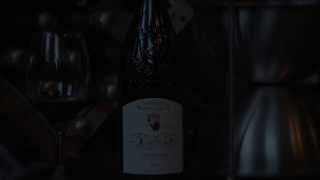 Gigondas Domaine Saint Gayan  Yapp Brothers One Minute Review [upl. by Anirehtac446]