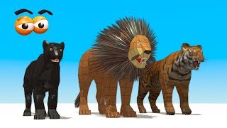 CUBE BUILDER for KIDS HD  Build Wild Cats for Children  AApV [upl. by Rey]