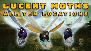 Destiny 2  All 10 Lucent Moth Locations Guide  Lepidopterist FULL Secret Triumph [upl. by Eddina253]