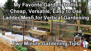 My Favorite Trellising Material for Vertical Gardening  Cheap amp Easy to Use Two Minute TRG Tips [upl. by Egdirdle]