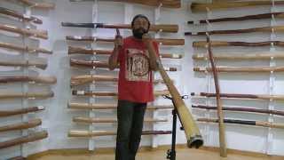 How to Create Didgeridoo Rhythms with Gumaroy Newman [upl. by Sherie]