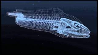 Moray Eels Alien Empire  Example of CGI [upl. by Agemo]