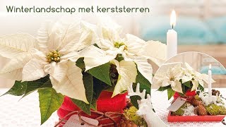 Decoratie idee voor bloemisten Winterlandschap met kerststerren [upl. by Llednahc]