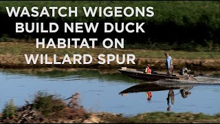 Wasatch Wigeons Restore Duck Habitat at Willard Spur [upl. by Iarised]